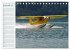 Faszination Wasserflugzeuge... - Bild 5