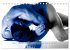 Naked men behind the colors -... - Bild 12