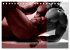 Naked men behind the colors -... - Bild 5