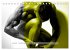 Naked men behind the colors -... - Bild 7