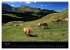 Alpe di Siusi - Seiser Alm... - Bild 12