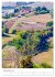 Toskana für jedermann (Wandkalender... - Bild 5