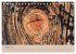 Farben des Holzes (Tischkalender 2026... - Bild 14