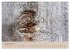 Farben des Holzes (Tischkalender 2026... - Bild 15
