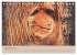 Farben des Holzes (Tischkalender 2026... - Bild 5