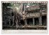 Kambodscha, Angkor Thom, Angkor Wat und... - Bild 13