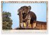 Kambodscha, Angkor Thom, Angkor Wat und... - Bild 4