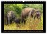 Sri Lanka - Landschaft und Kultur... - Bild 8