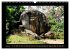 Sri Lanka - Landschaft und Kultur... - Bild 9