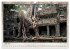 Kambodscha, Angkor Thom, Angkor Wat und... - Bild 13