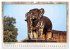 Kambodscha, Angkor Thom, Angkor Wat und... - Bild 4