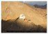 Buddhistisches Klein-Tibet... - Bild 2
