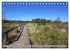 Pietzmoor - ein Hochmoor in der... - Bild 11
