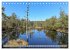 Pietzmoor - ein Hochmoor in der... - Bild 15