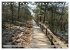 Pietzmoor - ein Hochmoor in der... - Bild 3