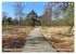 Pietzmoor - ein Hochmoor in der... - Bild 7
