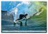 Surfen - Wasser, Wind und coole Typen... - Bild 9