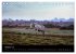 New Forest - England (Tischkalender... - Bild 3