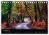 New Forest - England (Tischkalender... - Bild 4