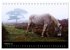 New Forest - England (Tischkalender... - Bild 8