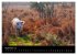 New Forest - England (Wandkalender 2026... - Bild 15