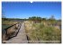 Pietzmoor - ein Hochmoor in der... - Bild 11