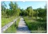 Pietzmoor - ein Hochmoor in der... - Bild 13