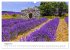 Träume aus Lavendel, Provence in Rosa... - Bild 14