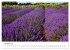 Träume aus Lavendel, Provence in Rosa... - Bild 3