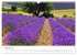 Träume aus Lavendel, Provence in Rosa... - Bild 7