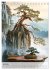 Die stille Kraft des Bonsai... - Bild 12