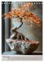Die stille Kraft des Bonsai... - Bild 14