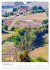 Toskana für jedermann (Wandkalender... - Bild 5
