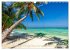 Malerische Malediven (Wandkalender 2026... - Bild 13