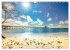 Malerische Malediven (Wandkalender 2026... - Bild 15