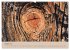 Farben des Holzes (hochwertiger Premium... - Bild 13