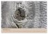 Farben des Holzes (hochwertiger Premium... - Bild 3