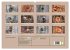 Farben des Holzes (hochwertiger Premium... - Bild 5