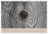 Farben des Holzes (hochwertiger Premium... - Bild 8