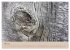 Farben des Holzes (hochwertiger Premium... - Bild 10