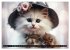 Katzenmomente (hochwertiger Premium... - Bild 11