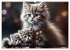 Katzenmomente (hochwertiger Premium... - Bild 8