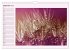 Lila - die mystische Farbe... - Bild 15