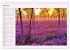 Lila - die mystische Farbe... - Bild 10