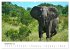 Elefanten - Sanfte Riesen in Afrika... - Bild 14