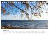 Strande und Bülk 2026 (Tischkalender... - Bild 3