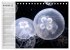 Quallen. Die Welt der Medusen... - Bild 4