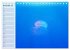 Quallen. Die Welt der Medusen... - Bild 5