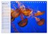 Quallen. Die Welt der Medusen... - Bild 8