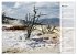 Rocky Mountains 2026 (Wandkalender 2026... - Bild 11